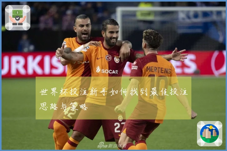 世界杯投注新手如何找到最佳投注思路与策略