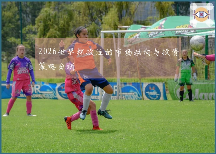2026世界杯投注的市场动向与投资策略分析