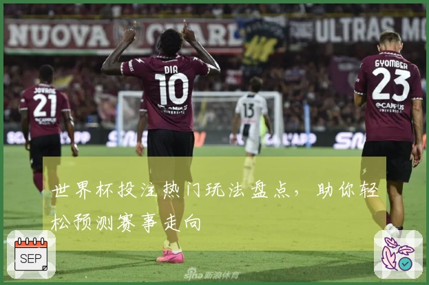 世界杯投注热门玩法盘点，助你轻松预测赛事走向