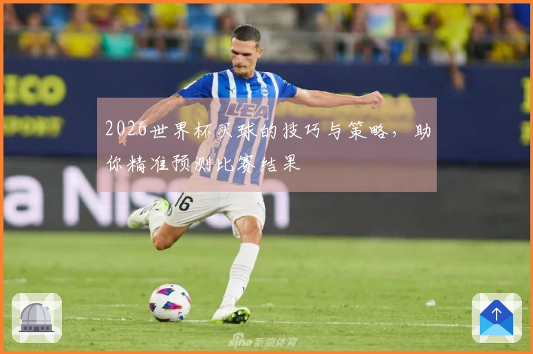 2026世界杯买球的技巧与策略，助你精准预测比赛结果