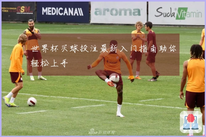 世界杯买球投注最新入门指南助你轻松上手