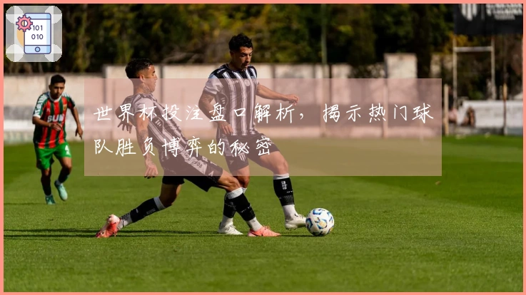 世界杯投注盘口解析，揭示热门球队胜负博弈的秘密