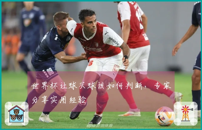 世界杯让球买球该如何判断，专家分享实用经验