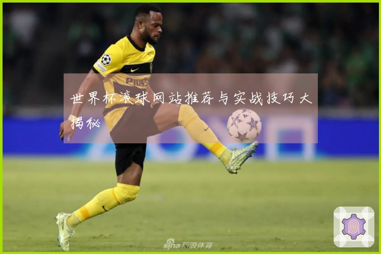 世界杯滚球网站推荐与实战技巧大揭秘