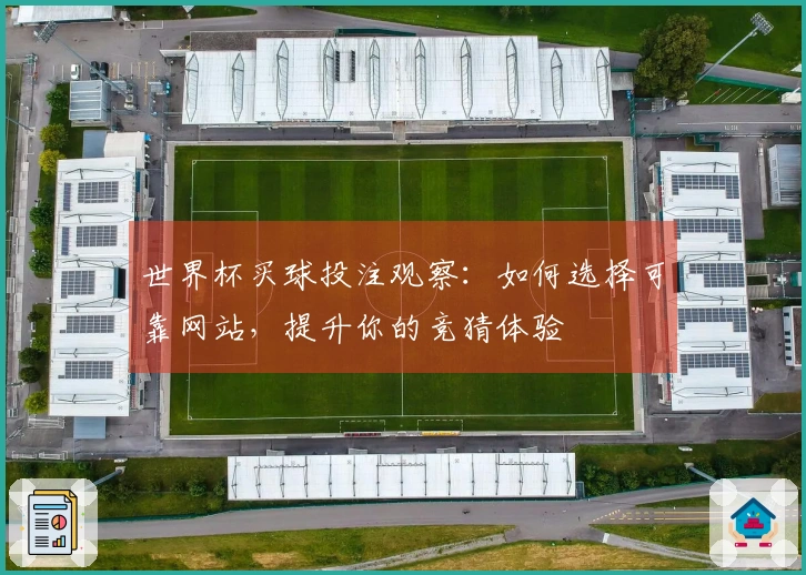 世界杯买球投注观察：如何选择可靠网站，提升你的竞猜体验