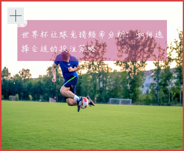 世界杯让球竞猜赔率分析：如何选择合适的投注策略