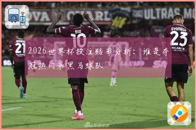 2026世界杯投注赔率分析：谁是夺冠热门和黑马球队
