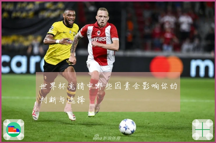 世界杯竞猜中哪些因素会影响你的判断与选择