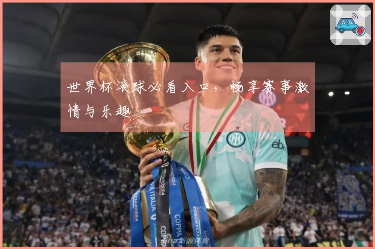 世界杯滚球必看入口，畅享赛事激情与乐趣