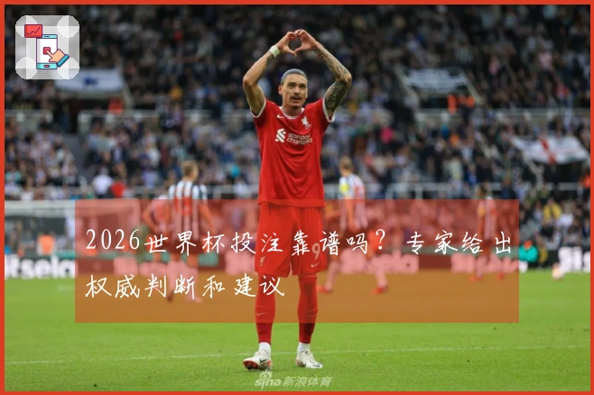 2026世界杯投注靠谱吗？专家给出权威判断和建议